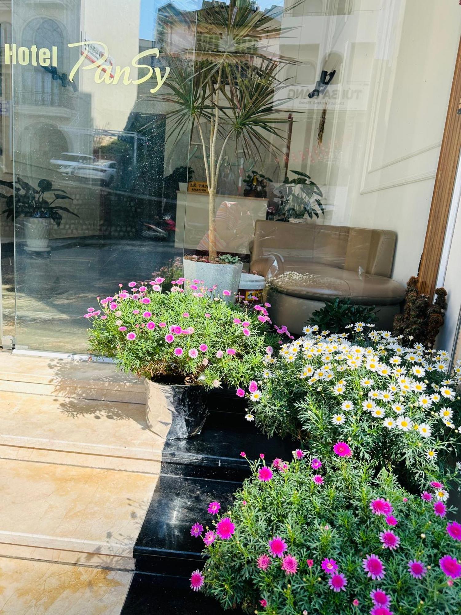 Hotel Pansy Đà Lạt Extérieur photo